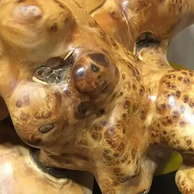 【桃花源創意工坊】飛天彌勒崖柏瘤(木雕藝術/禮品/居家擺飾/玄關)