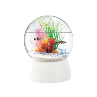【NISSO 尼索】Table AQUA Stand 景觀生態套缸組(桌上型 魚缸 擺飾)