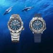 【SEIKO 精工】PROSPEX 愛海洋 企鵝遨遊200米潛水鮪魚罐頭機械錶-43.2mm 畢業 禮物(4R35-04Z0G/SRPH77K1)