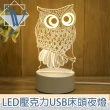 【Viita】聖誕/生日/交換禮物創意LED壓克力USB床頭夜燈 北歐貓頭鷹