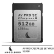 【ANGELBIRD】AV PRO CFexpress SE TYPE B 512GB 記憶卡--公司貨