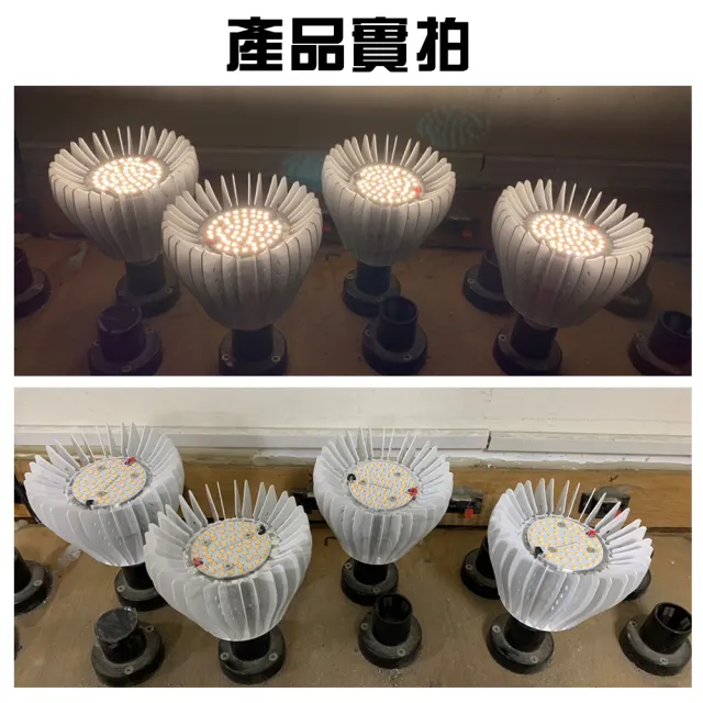 【君沛】夾式 植物燈 40瓦 E27 植物燈泡 全光譜 全電壓(植物燈系列)