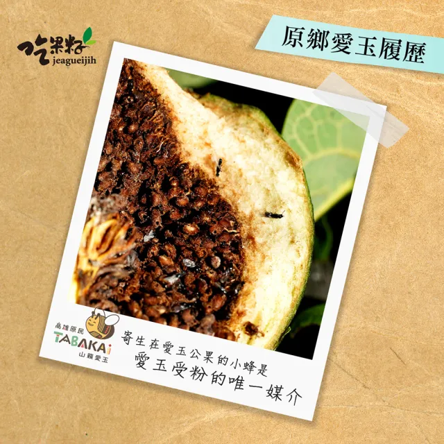 【吃果籽】百香、檸檬 綜合愛玉吸凍飲(220g/6杯組)