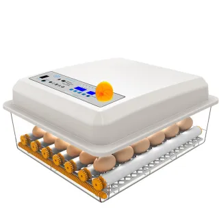 【佳裕】110V孵化機 36枚孵蛋器(雙電源可接12V全自動控溫 小雞孵化器)