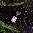 【AGRICOLA 植物者】纈草精油10ml(德國原裝進口 純植物萃取天然擴香)