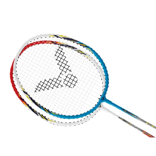 【VICTOR 勝利體育】輕鬆打組合 便利攜帶式羽網柱+對拍組(C-7041C+ARS-1010)