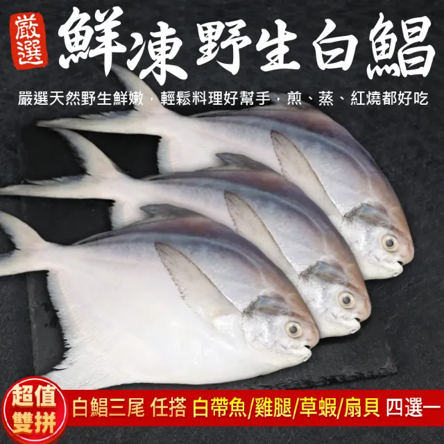 【2026】白鯧魚推薦10款高評價人氣品牌排行榜 | BALIMAN情報局