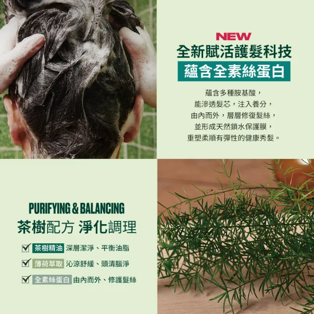 【THE BODY SHOP 美體小舖】茶樹淨化頭皮去角質洗髮霜-240ML(洗髮/頭皮去角質)