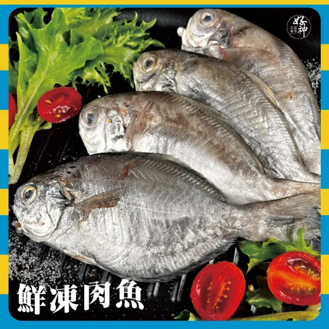 藏鮮味當季野生捕撈肉鯽魚 囤貨組