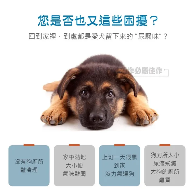 大小型犬尿便盆 PET-D(寵物可拆卸尿便盆 含立柱 寵物訓練 定點訓練 毛孩便盆)