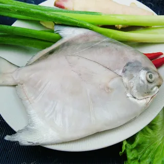 【新鮮市集】鮮嫩富貴白鯧魚(300-400g/尾)