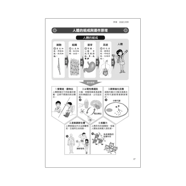 圖解生理學更新版