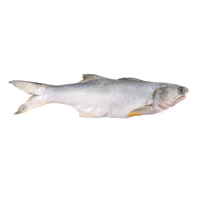 【海鮮主義】肉質鮮嫩午仔魚8包(300g±10%/包)