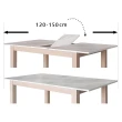 【RICHOME】勞倫金120CM可延伸150CM大理石紋餐桌椅組/休閒桌椅/工作桌椅-一桌四椅(2色)