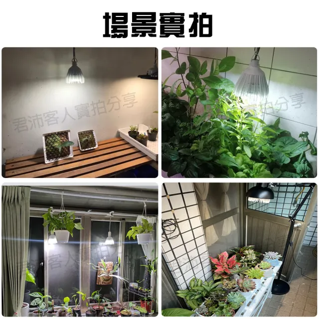 【JIUNPEY 君沛】40W 紅藍混光E27植物燈泡(植物生長燈)