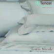 【Tonia Nicole 東妮寢飾】環保印染100%萊賽爾天絲被套床包組-青檸(加大)