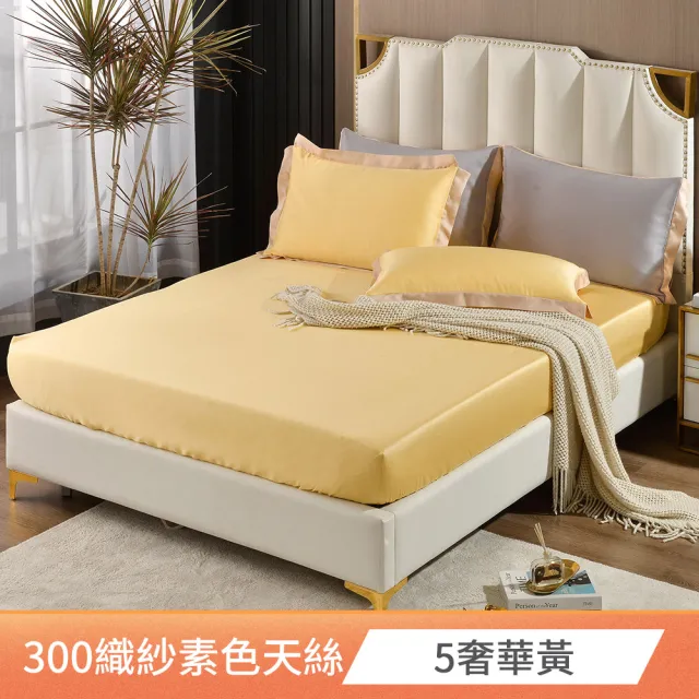【FOCA】300織紗100%純天絲素色壓框薄枕套床包組(雙人/多款任選)