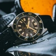 【SEIKO 精工】PROSPEX系列 DIVER SCUBA 防水200米 潛水機械腕錶  SK044 母親節 禮物(SPB147J1/6R35-00P0C)