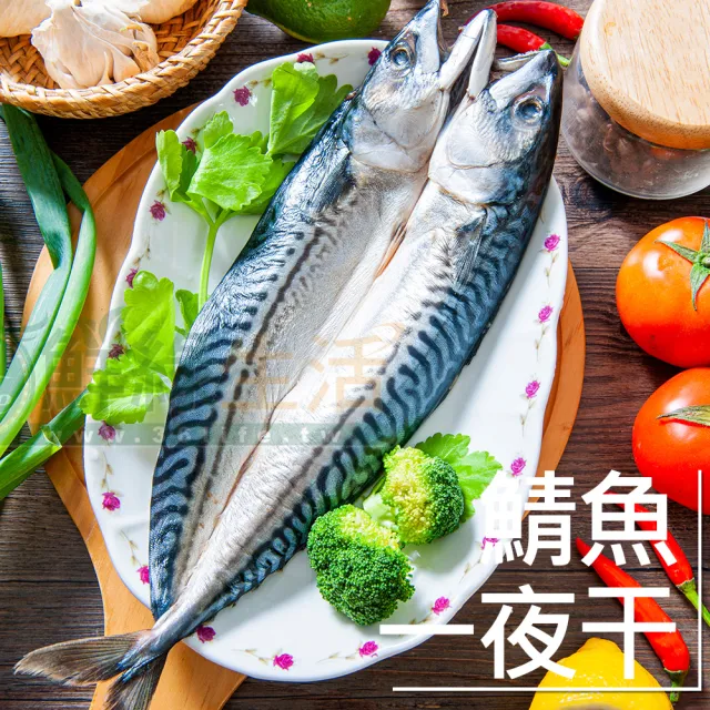 【2026】鮮綠生活鯖魚推薦10款高評價鮮綠生活鯖魚品牌排行 | BALIMAN情報局