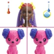 【Barbie 芭比】芭比驚喜造型娃娃特色髮型系列-紫色包裝