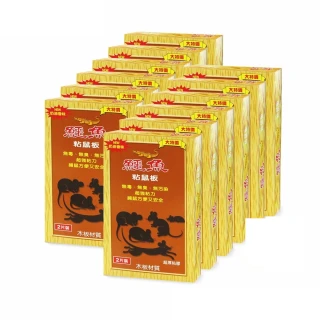 【鱷魚】奶油環保粘鼠板-2入小(12盒)