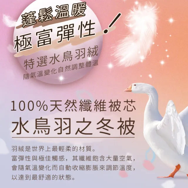 【田中保暖】雙人6x7尺 星級飯店專用 100%水鳥羽絨被 羽絨被 冬被 台灣製