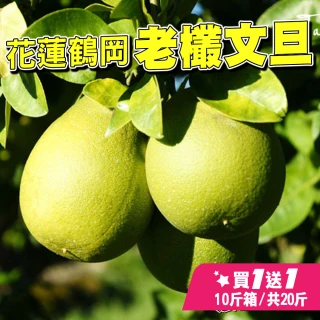 【台灣紅】鶴岡60年特級文旦10斤x2盒(老欉頂級小果_12-20顆/10斤/中秋禮盒_共20斤_中秋柚子)