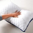 【FOCA】五星等級 德國銀離子防蹣抗菌立體可水洗舒眠枕(超值買一送一)