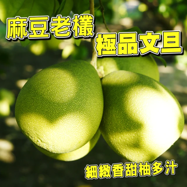【台灣紅】麻豆60年極品文旦10斤x1盒(頂級老欉小果_12-20顆/10斤/中秋禮盒_中秋柚子)