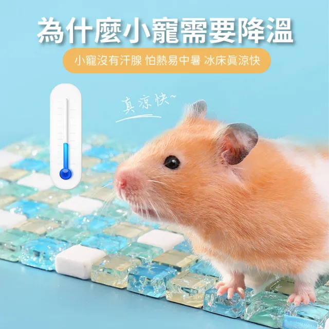 【寵物用品】小寵物水晶涼蓆散熱墊(倉鼠用品 消暑 防中暑 天竺鼠 小鼠 涼毯 冰涼墊 冰床 降溫板)