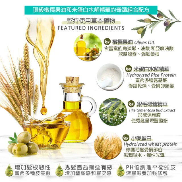 【dalan】即期品-頂級橄欖油米麥蛋白豐盈洗髮露400ml(買一送一-效期2025/03)