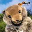 【STEIFF】土撥鼠 Burri Marmot(動物王國)