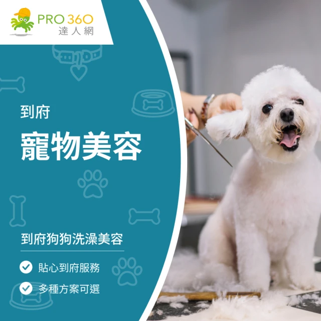 PRO360達人網 到府狗狗美容★小型犬(寵物剪毛服務)