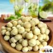 【元氣家】烘焙鹽香夏威夷豆(200g)