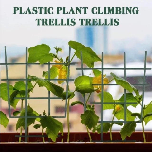 【Planter】5個裝園林塑膠植物支撐架(爬藤支架 園藝工具 植物支撐架 爬藤支架 園藝工具 月季支架)