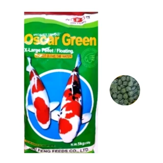 【海豐飼料】高級錦鯉魚飼料綠藻 5kg綠色大顆粒/超值重量包(適合各種中大型錦鯉食用T359)