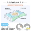 【BELLE VIE】日本黑科技 竹炭冷凝膠紓壓記憶枕(63x40cm)