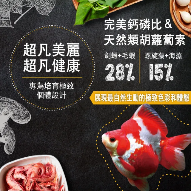 【鮮蝦食譜】特級琉金&土佐金-螺旋藻胚芽育成鮮蝦堡330ml(金魚飼料 錦鯉幼魚 鯉魚飼料 魚飼料)