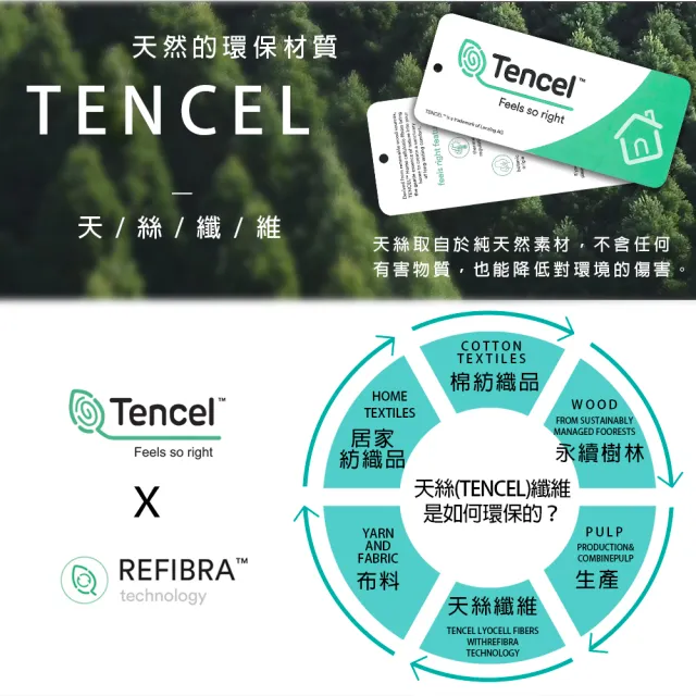 【Jindachi金大器】買一送一 MIT台灣製造 TENCEL 頂級天絲舒柔枕  枕頭(舒眠親膚 抗菌防螨 吸濕透氣)