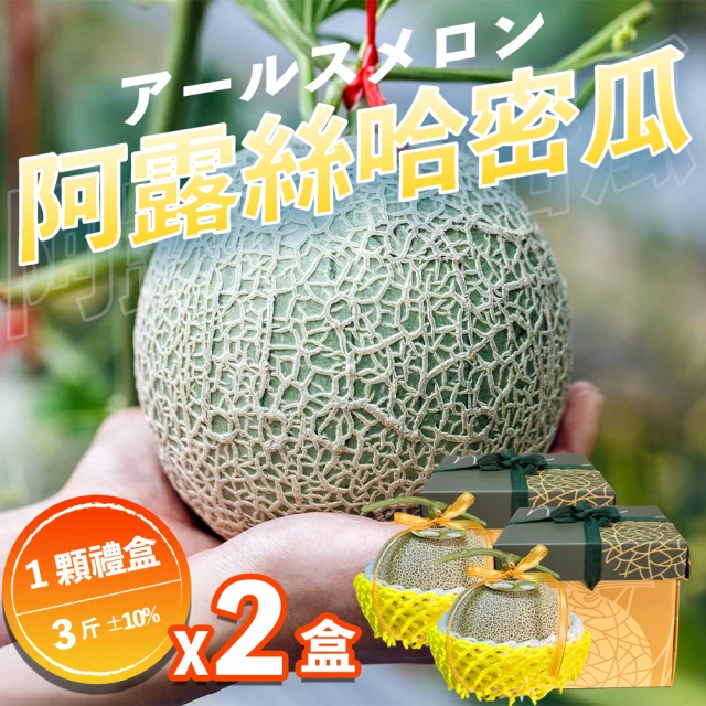 果樹寶石 中部日本阿露斯哈密瓜1顆x2盒（3斤/盒）(產銷履歷 極少種植巨甜品種 農場常溫配送)