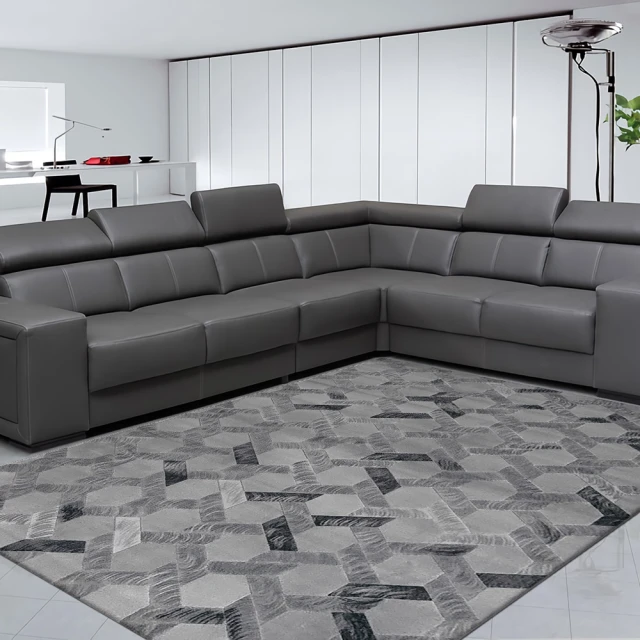 Fuwaly 瑞爾地毯-200x290cm(漸層 素描 客廳