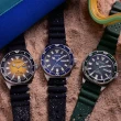 【CITIZEN 星辰】PROMASTER 200米潛水機械腕錶-41mm   母親節(NY0120-01E)