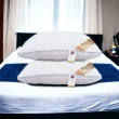 【DaoDi】二入組枕頭七星級飯店防蹣枕頭(可水洗機洗 自由調整高低度)