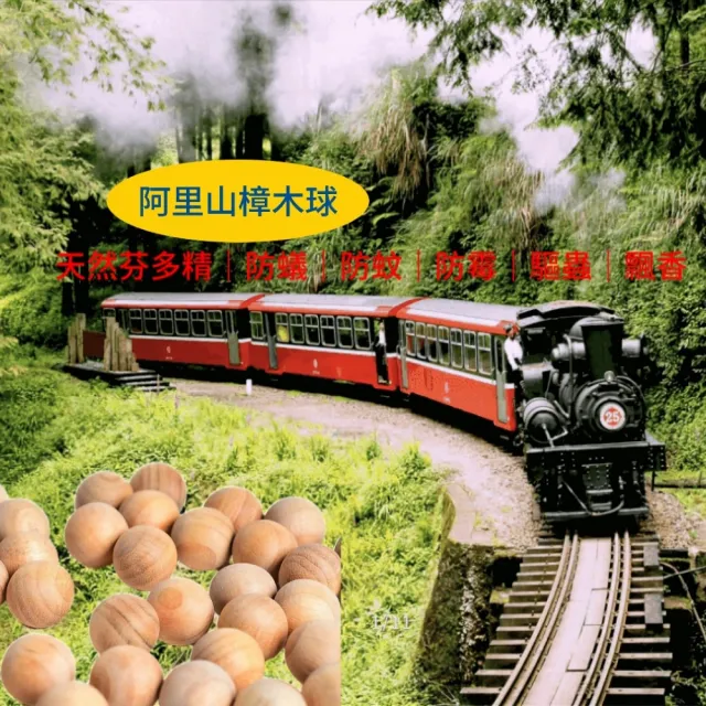 阿里山樟木球100顆(天然芬多精 防蟻 防蚊 防霉 驅蟲 飄香)