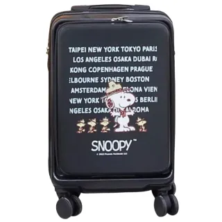 【SNOOPY 史努比】史努比20吋雙層行李箱(正版授權)