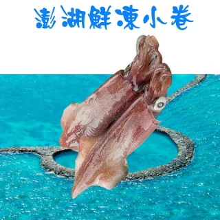 【海之醇】鮮美活凍透抽-10隻組(380g±10%/包/2隻)