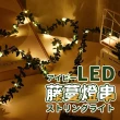 【Saikoyen】300cm LED樹葉藤蔓銅線燈1入(聖誕節 萬聖節 佈置 生日氣球 派對布置 燈飾 燈串)