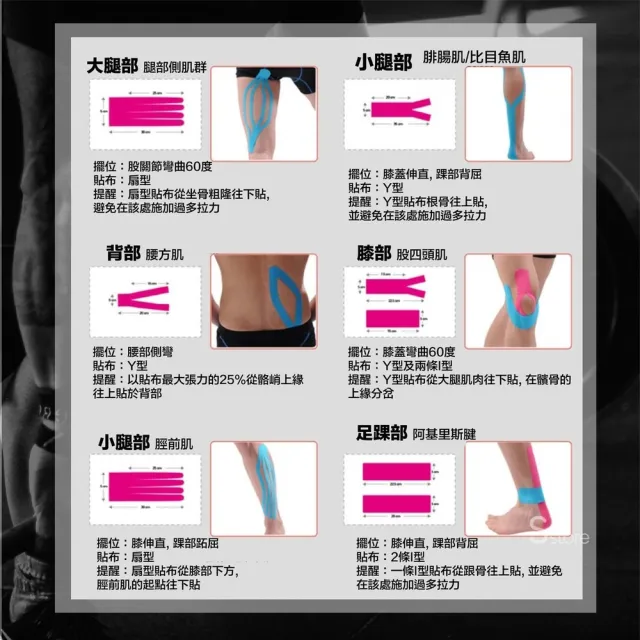 【S-SportPlus+】肌肉貼布 5mx5cm無盒裝6入組 肌貼繃帶(運動貼布/貼布/彈性貼布)