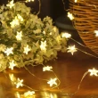 【Saikoyen】極美LED小星星300cm銅線燈串1組(聖誕節 燈飾 LED燈 氣氛燈 串燈 燈條 銅線燈 布置 聖誕佈置)