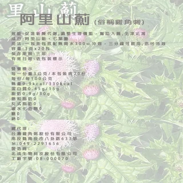 【台灣國寶】阿里山薊茶包X4盒/雞角刺茶包/20包/盒(台灣原生種植物阿里山薊茶包)
